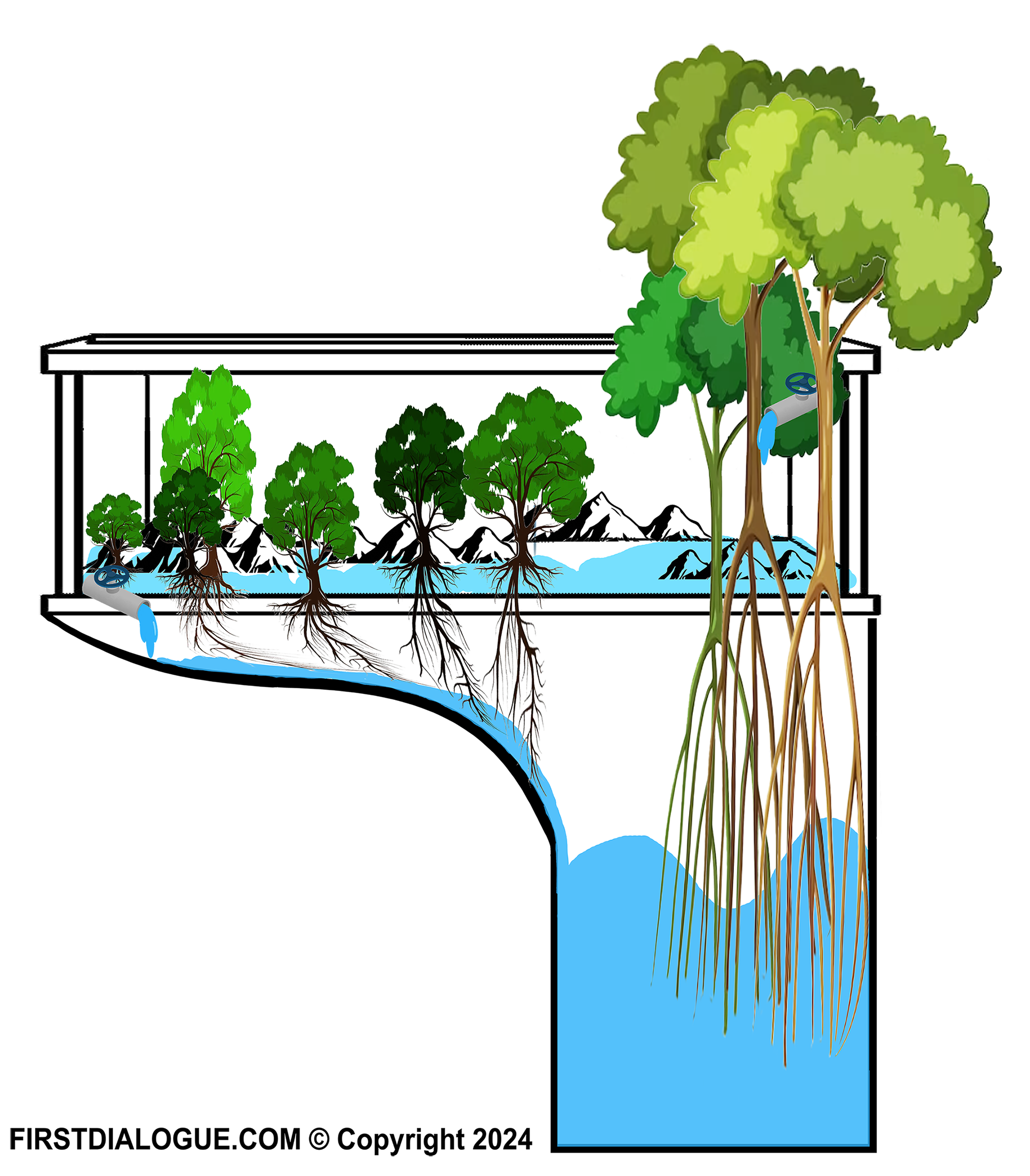 FirstDialogue.com Aquarium Economics Metaphor